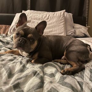 Meet your Posher, Juanita